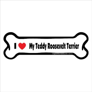 Teddy Roosevelt Terrier Bone Magnet