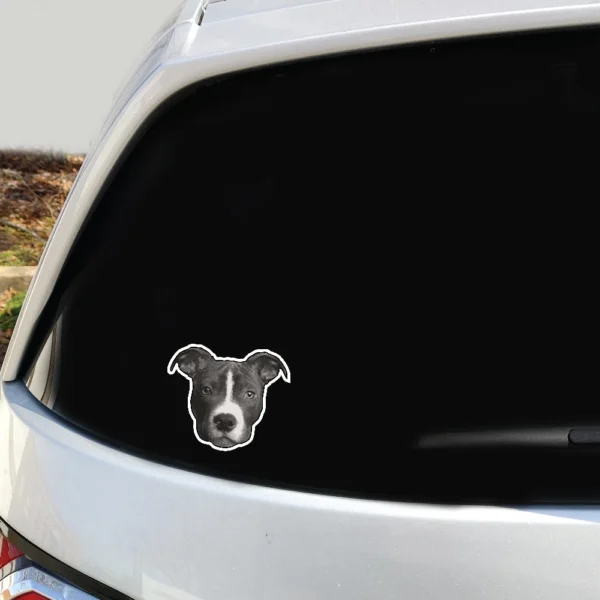 Pit Bull Dog Face Decal 2 Pack - Image 3